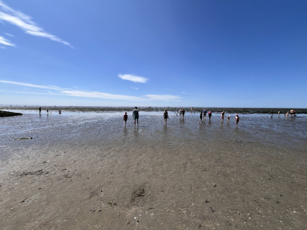 Familienlagune Perlebucht